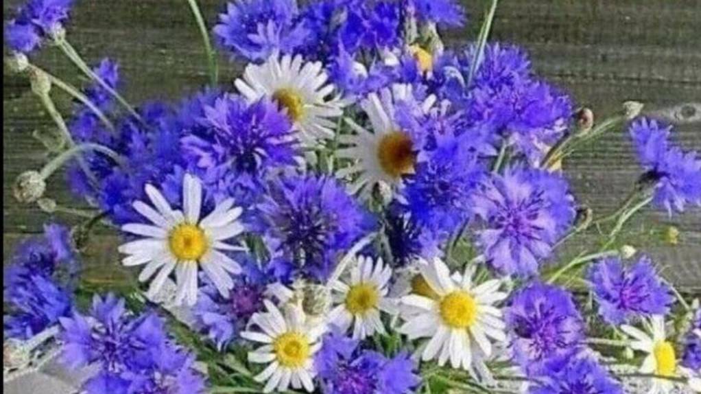 Минутка прозы * Кукла Лиза крючком.* Распаковка.Лимонно-имбирный сироп. смотреть онлайн