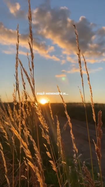 Лето! ☀️ #aesthetic #гидпостилю #outfitinspiration #trend #барнаул смотреть онлайн