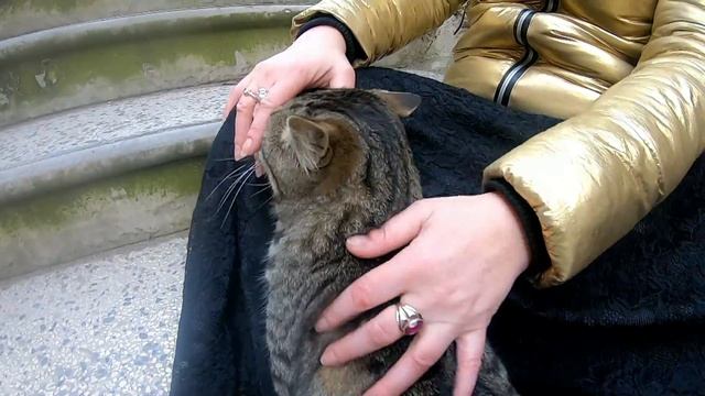 Жанна Корнеева Помнишь 2019