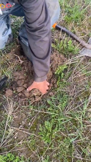 #коп #поискмонет #находки #металлоискатель #coin #metaldetector смотреть онлайн