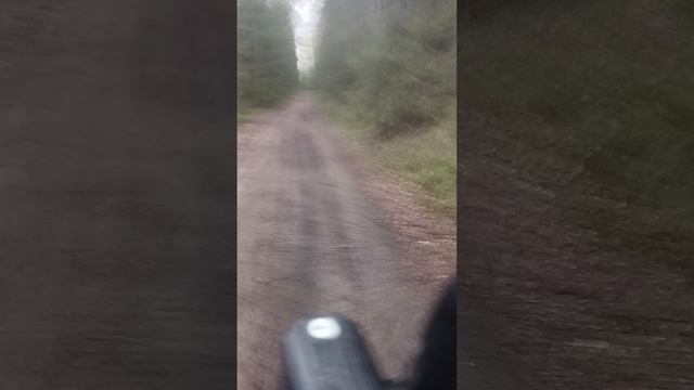 Wenbox F9  движение по направлению