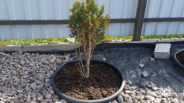 6 Мои майские