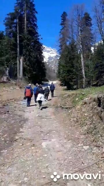 Домбай -Ульген это самая высокая гора Домбая