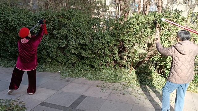 Тайцзицюань с мечом 32 form ( 太极剑32 式）_ Tai- Chi 32 form