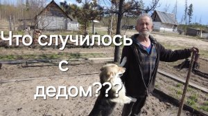 Мчим в тайгу к деду отшельнику на помощь