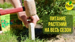 Удобрение «Ракета» – питание растений на весь сезон!