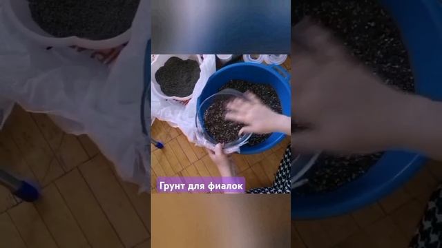 Грунт в котором мои фиалки чувствуют себя превосходн