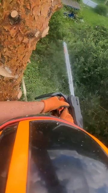 Husqvarna T540XP Mark 3🔥👍#arboristika#arboristlife #chainsaw #chainsawman #tree #climbing #в смотреть онлайн