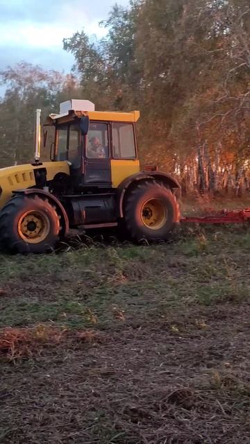 Колесный ДТ-75 ,Дисковка после уборки гороха. #мт смотреть онлайн