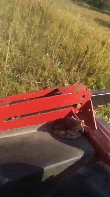 мтз 220 и косилка смотреть онлайн