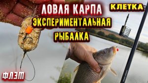Экспериментальная рыбалка на карпа на флэт фидер