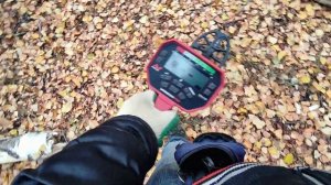 Осенний коп с металлоискателем VANQUISH 540