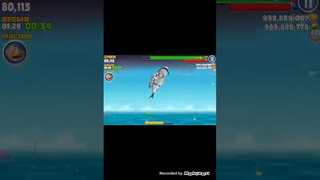 Проживание мигаладоном