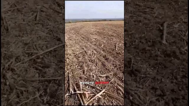 Отзыв от фермера на дискатор ares Unia #кфх #сельхозтехник? смотреть онлайн
