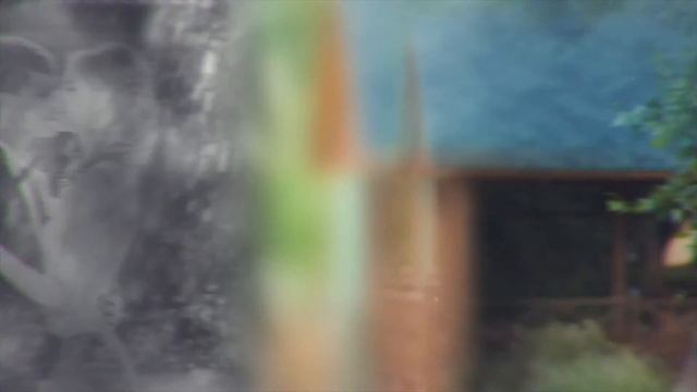 Фотограф Екатерина Васильева