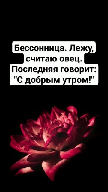 Теперь точно знаю сколько их смотреть онлайн