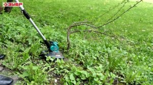 Аккумуляторный триммер ЗУБР ТА-185-21