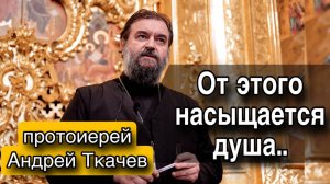 Исполнить волю Отца. Протоиерей Андрей Ткачёв