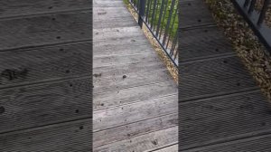 Деревянный настил на металлическое основание.