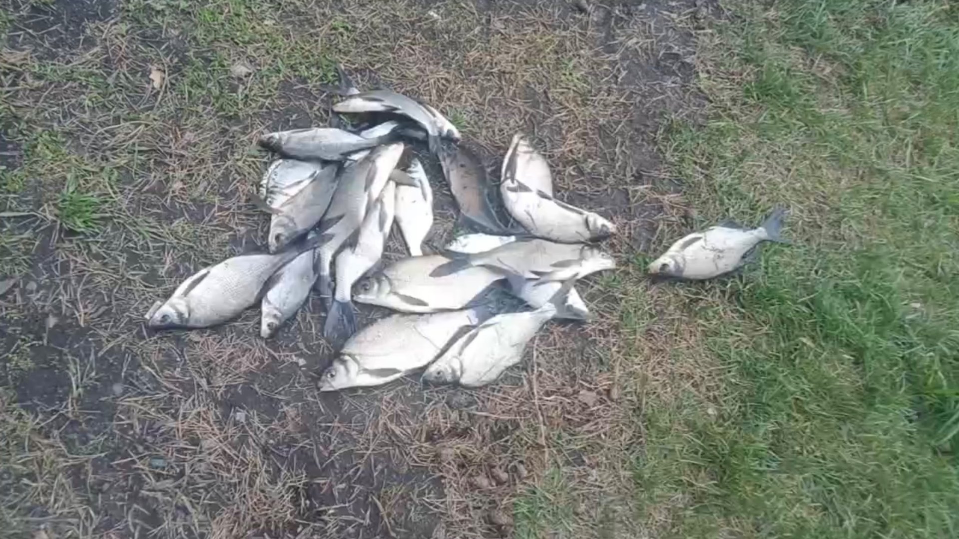 Рыбалка на Урале. Исеть смотреть онлайн