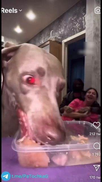 Комменты - отдельный вид искусства