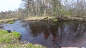 р. Кемка 06.05.2025.