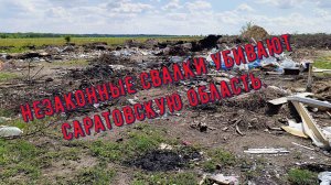 Саратовские поля = свалки и скотомогильники?