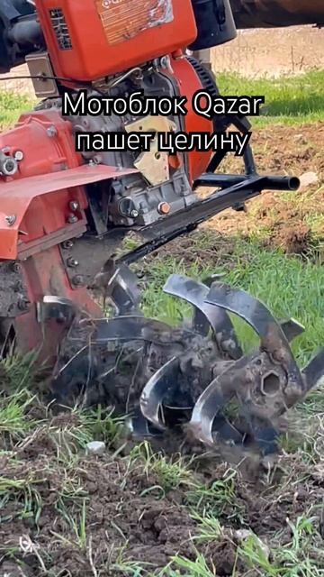 Пашем целину мотоблоком #мотоблок #вспашка смотреть онлайн