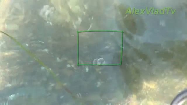 медуза-крестовик смотреть онлайн