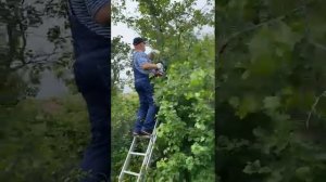 Аккумуляторная пила Интерскол ПЦА-12/36В