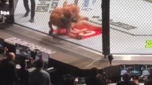 Хамзат Чимаев - Роберт Уиттакер ! ПОЛНЫЙ БОЙ !