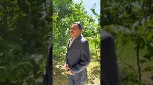 ENG SARA VAYNLAR _ ЭНГ САРА ВАЙНЛАР