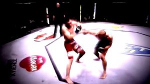 Смешные единоборства