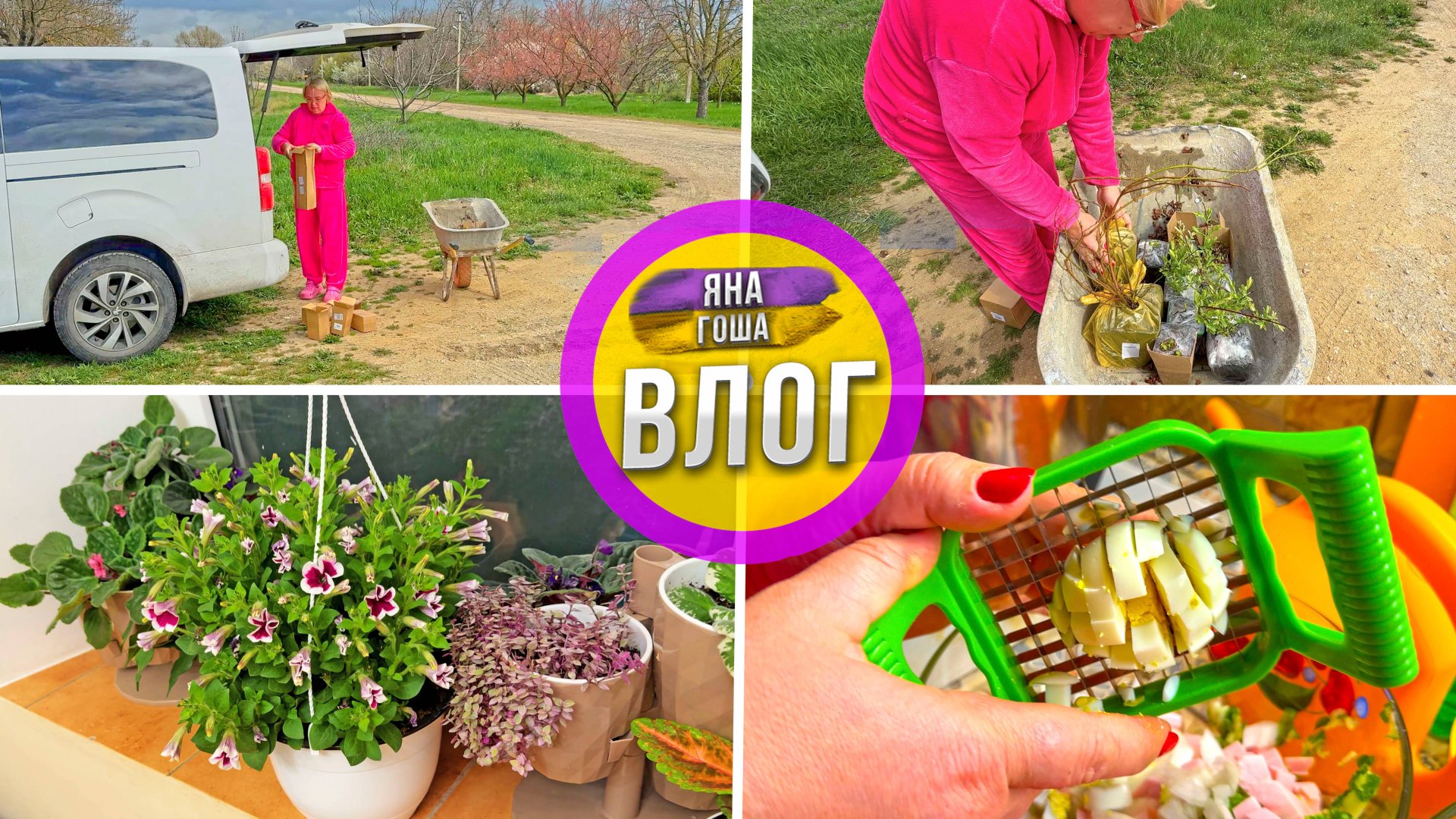 Закупили растений на Вайлдберис! В каком состоянии пришли? Устройство за 100р, которое меняет жизнь! смотреть онлайн