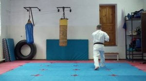 Ката+кихон для сдачи на 9 КЮ