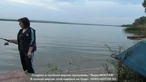 нежданчик. судак на фидер.