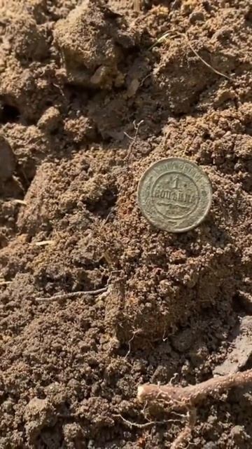 Находка ч.245🔥🔥 #леснойскобарь#2024 #коп#металлоискател смотреть онлайн