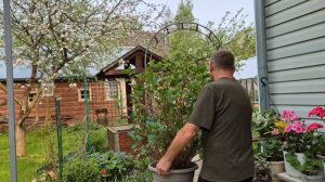 Дачные работы.Муж хитро моет дом.Секреты урожайной фасоли.Делюсь опытом