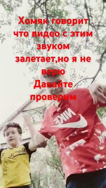 Я  не верю то что с этим звуком видео залетают давайте проверим #хомяк #хомяктв #hamsterkombat #рб