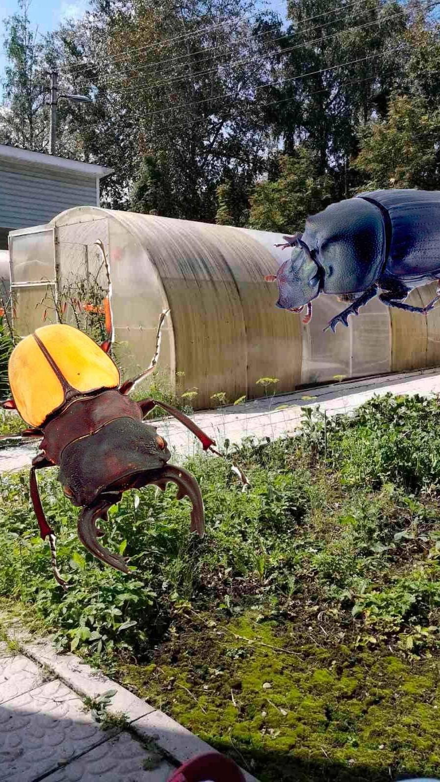 ТЛЯ и МУРАВЬИ больше не появятся. Обработка кустов смородины от вредителей смотреть онлайн