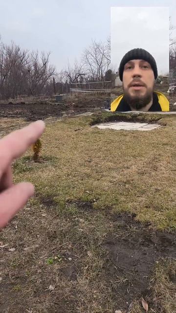 Установка полива для черенкования😁 смотреть онлайн