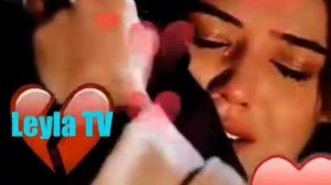 Клипи ошики