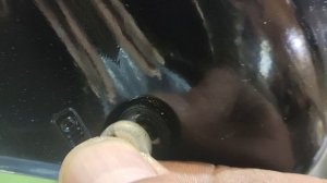 масло в ноге Tohatsu MFS 9,9-20 после 4,5 часов обкатки.