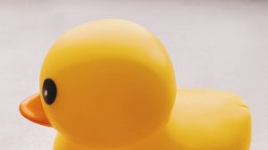 СПЕЦВЫПУСК! №1 UTKA555SNARED