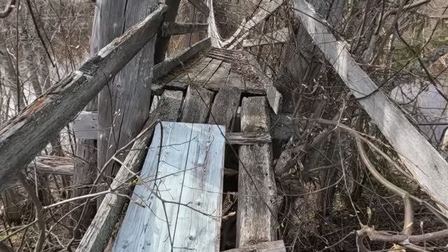 Некогда скучать