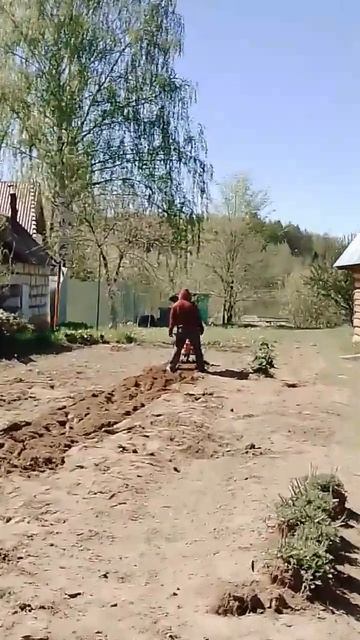 пробуем пахать мотоблоком🤣подпишись😊#shorts #youtubeshorts #? смотреть онлайн