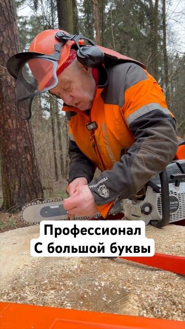 Юрий Викторович профессионал с большим опытом #zimani #husq смотреть онлайн