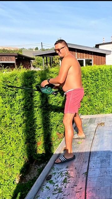 Как правильно стричь туи?! #puksiirnarva #туи #какстричьтуи #к смотреть онлайн