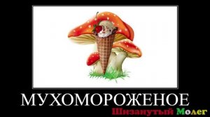 🍱 Еда + ШИЗА =