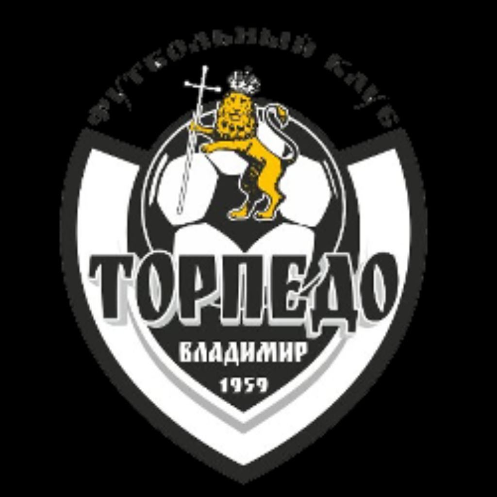 Золотое кольцо Торпедо-Владимир 2010/ Текстильщик 2009